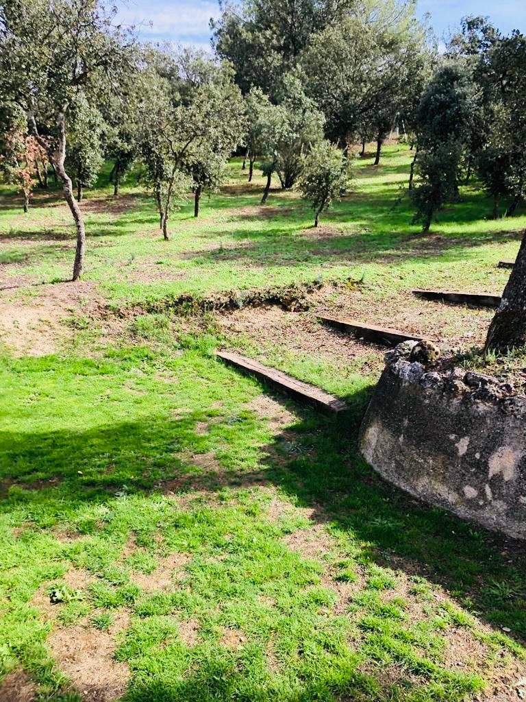 moderno-chalet-en-ciudalcampo-ref-cdc180474