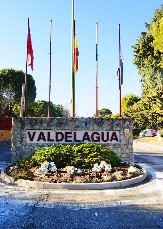Imagen del collage
