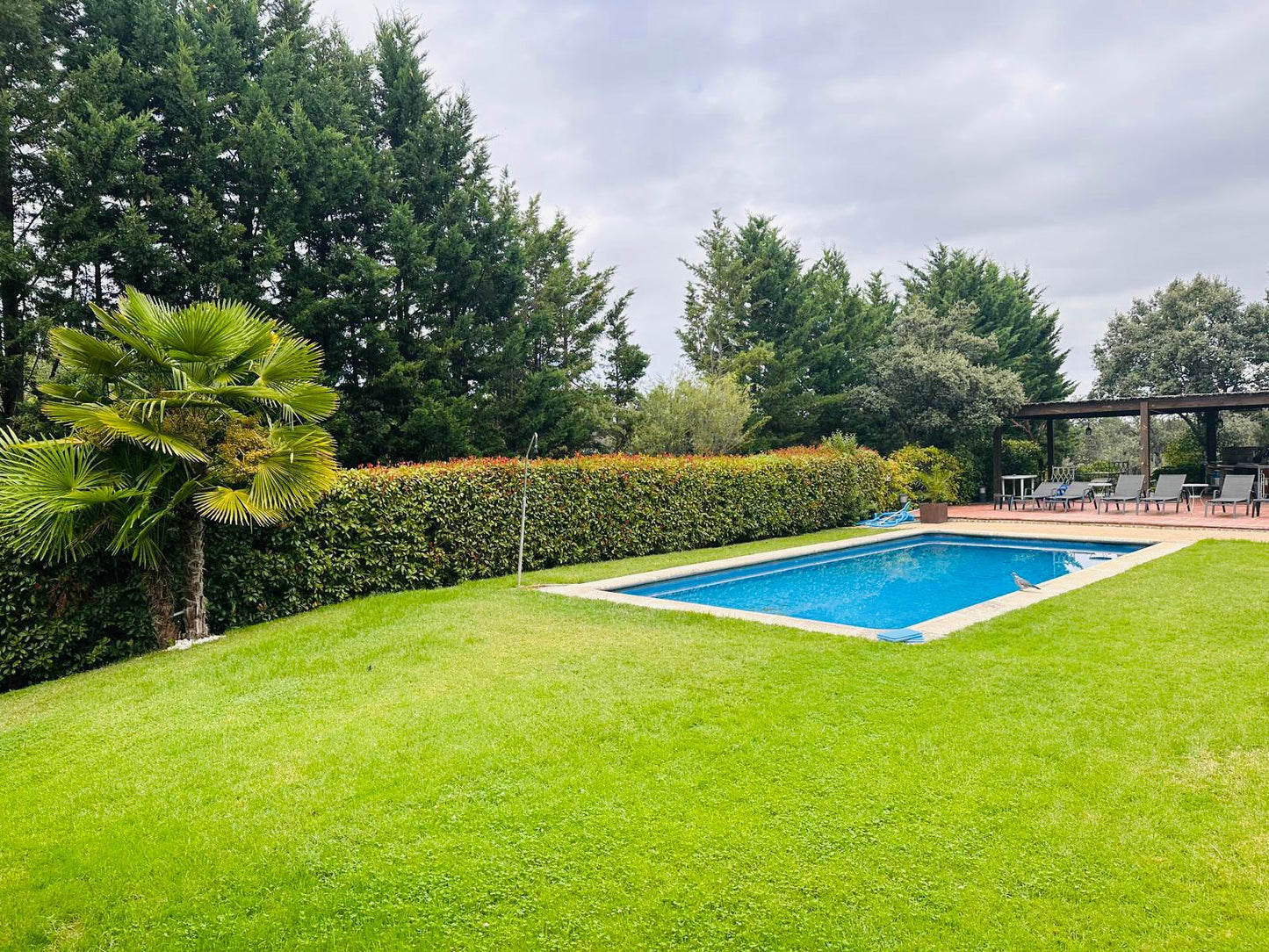 moderno-chalet-en-ciudalcampo-ref-cdc18464