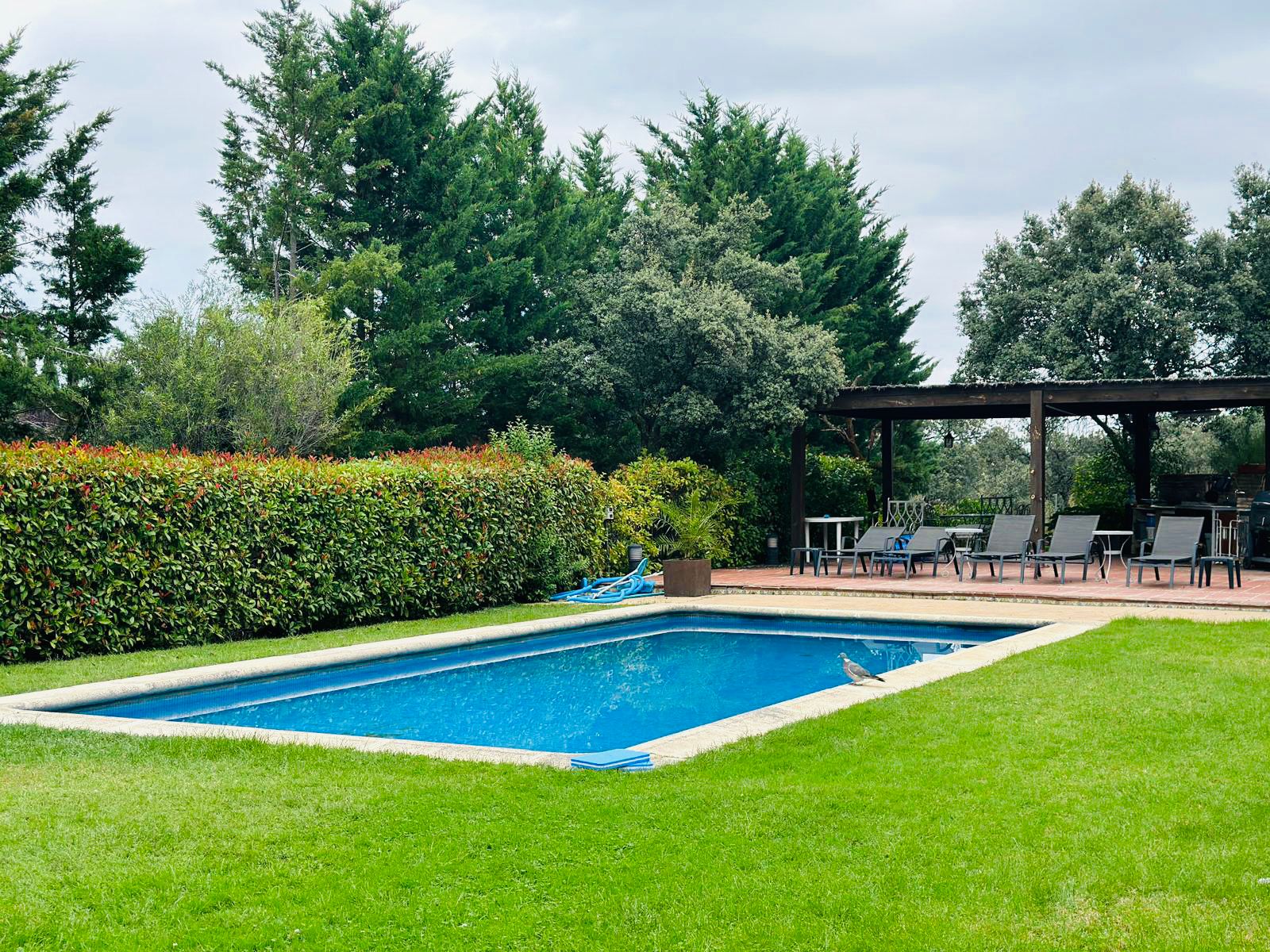moderno-chalet-en-ciudalcampo-ref-cdc18465