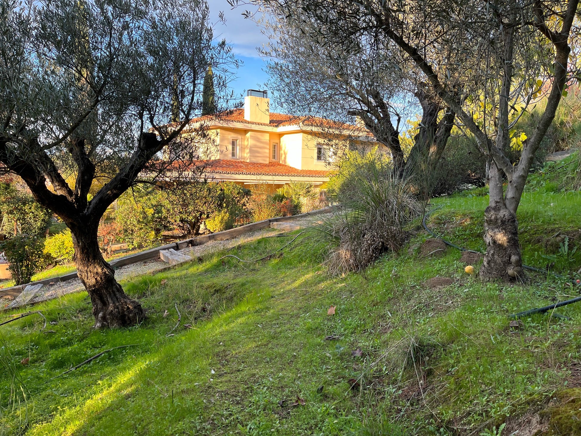 moderno-chalet-en-ciudalcampo-ref-cdc185543