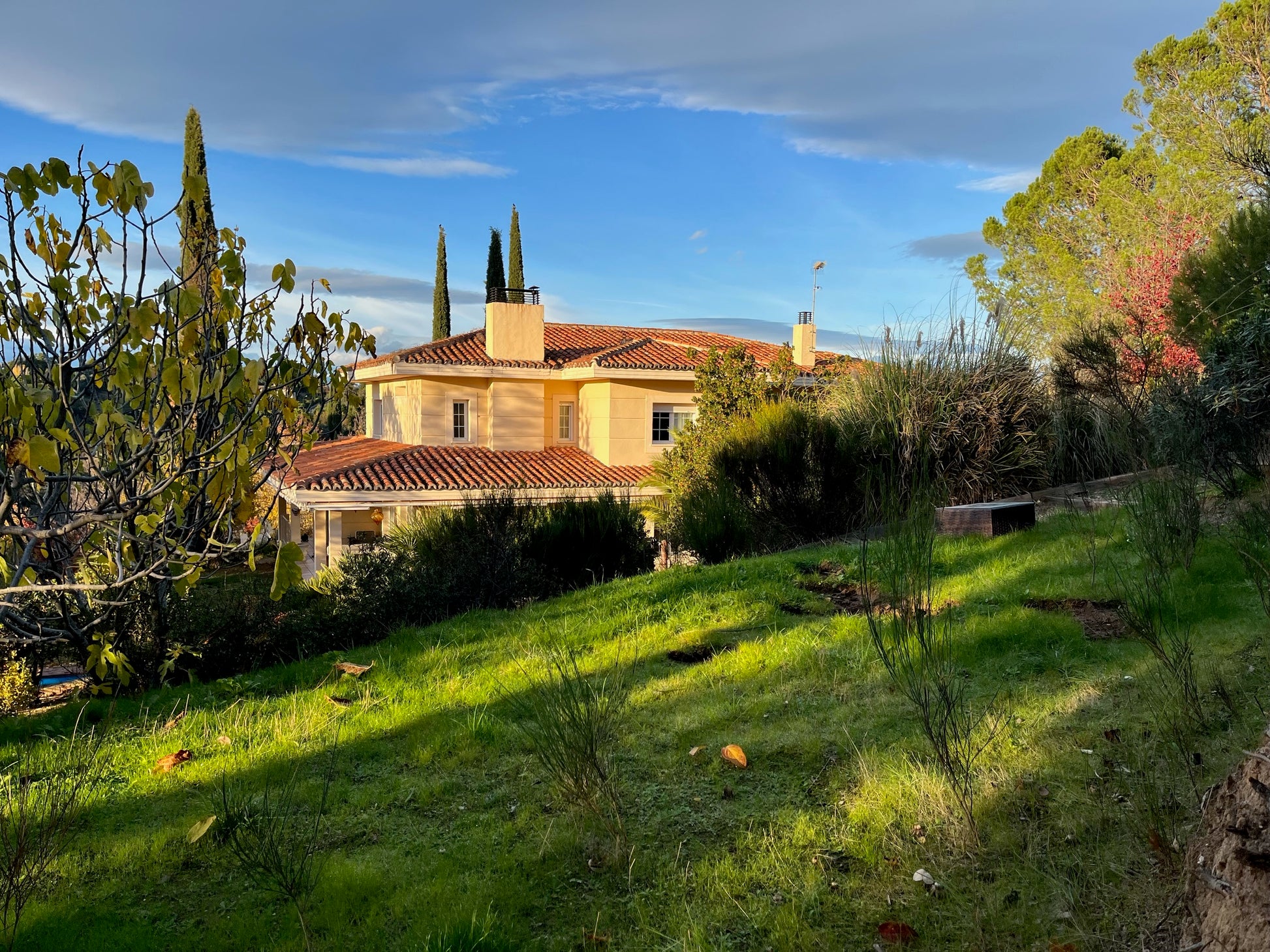 moderno-chalet-en-ciudalcampo-ref-cdc185542