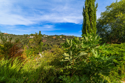 moderno-chalet-en-ciudalcampo-ref-cdc190877
