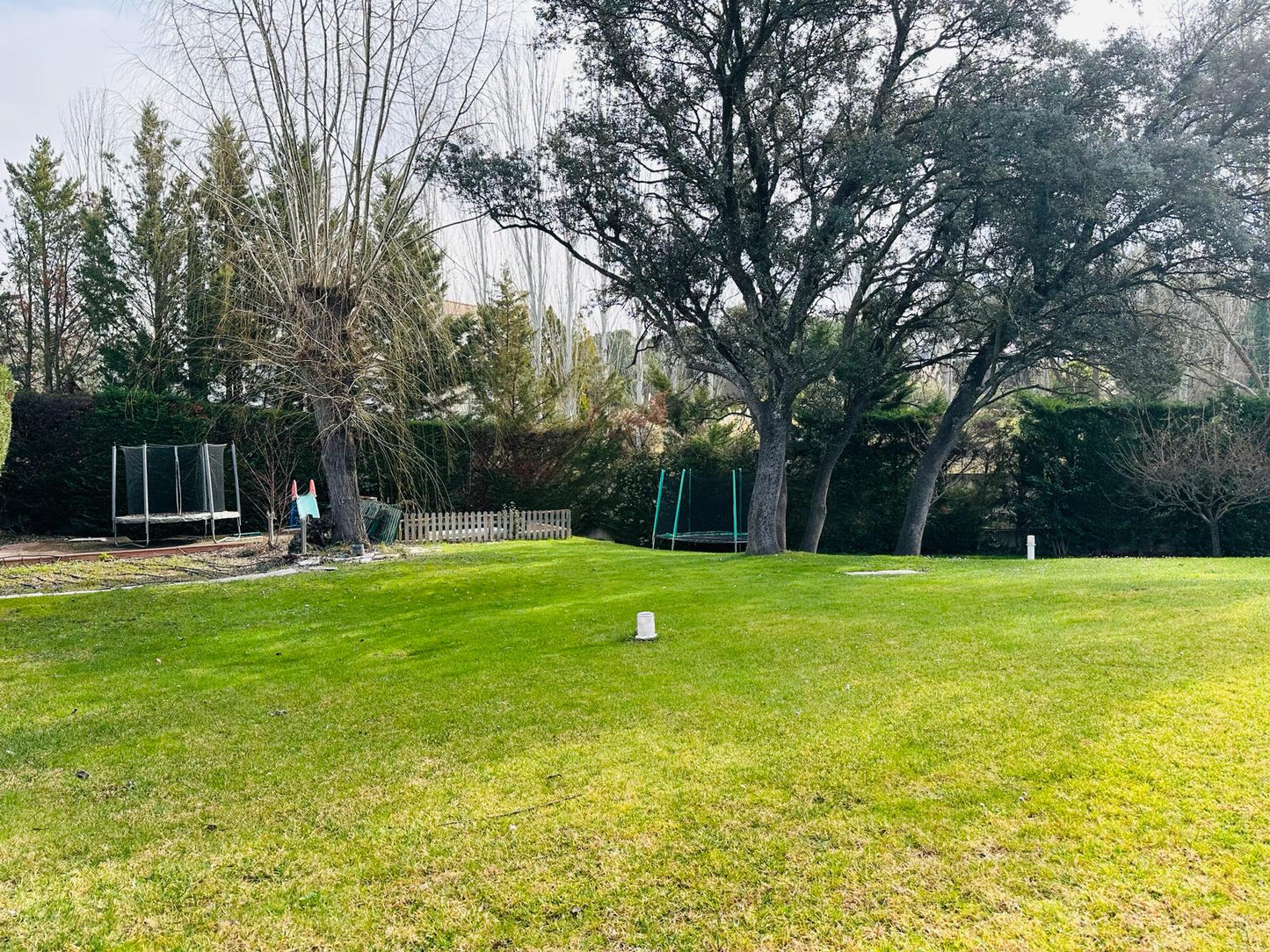 moderno-chalet-en-ciudalcampo-ref-cdc186516