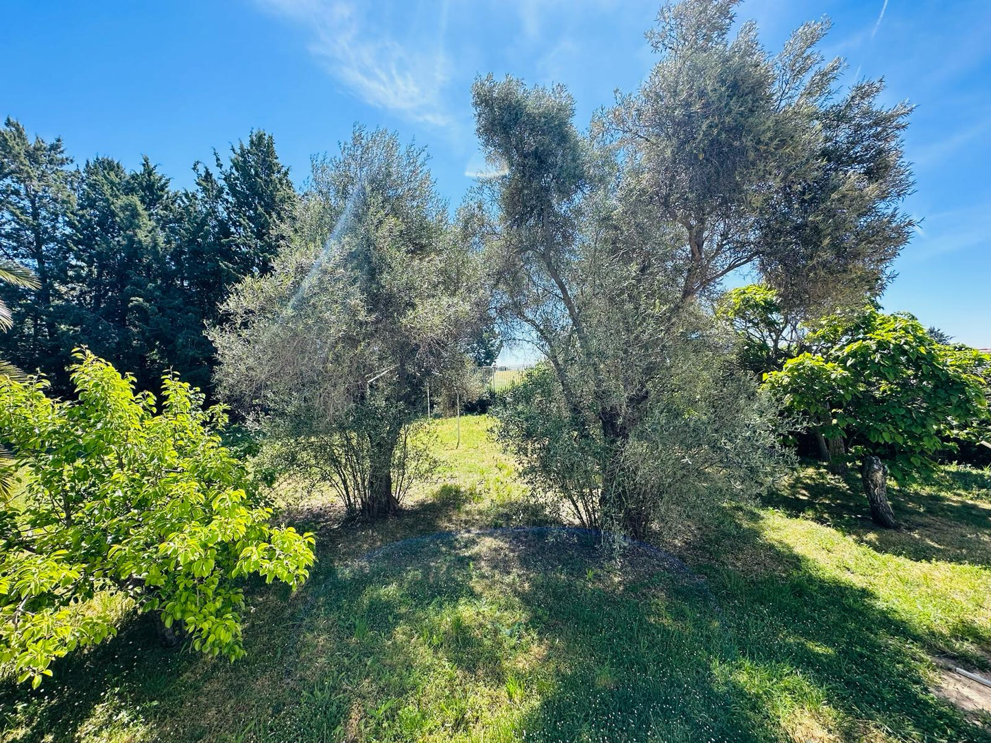 moderno-chalet-en-fuente-del-fresno-ref-ff188138
