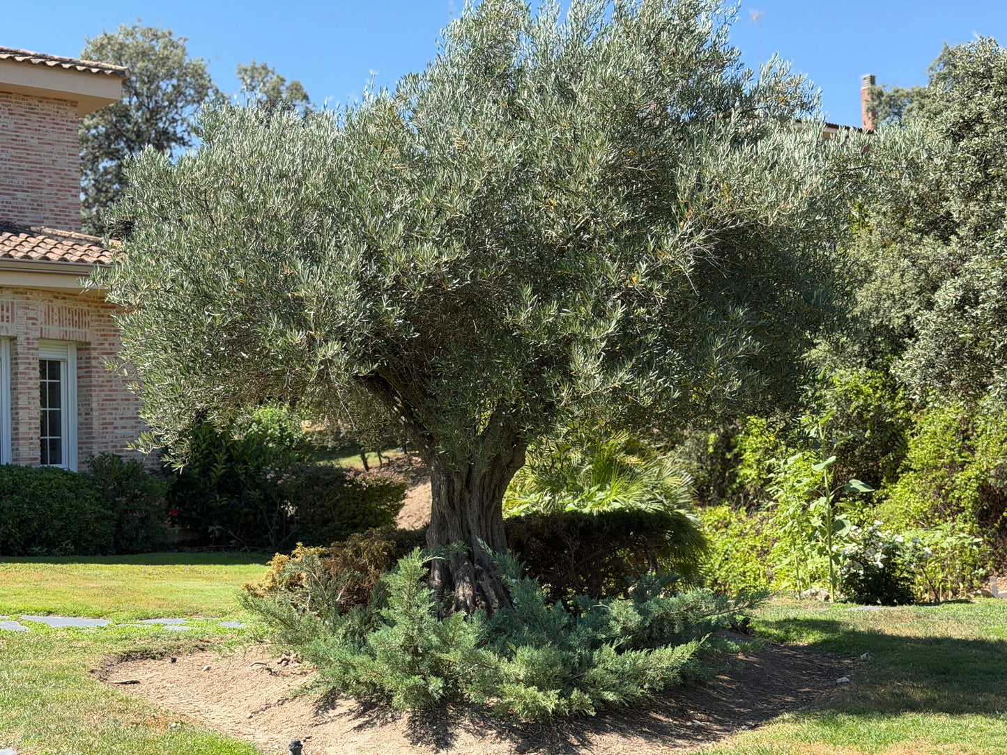 Casa o chalet independiente en venta en Ciudalcampo(Ref.CDC1984)