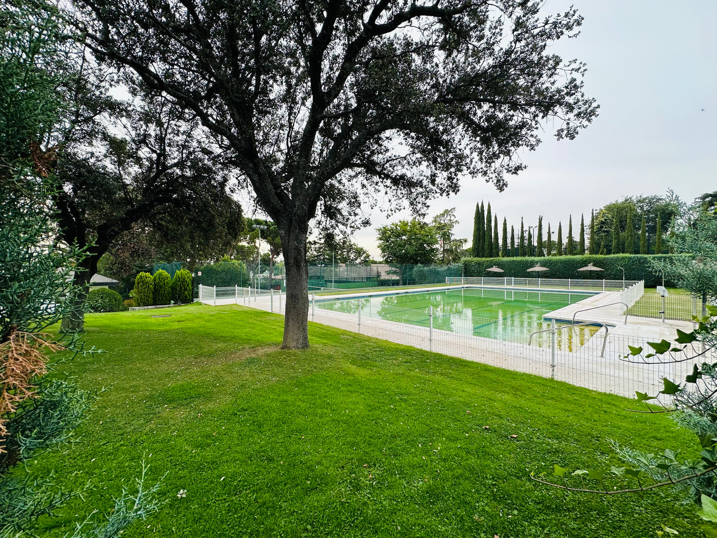 Moderno Chalet en La Moraleja (Ref. AM1688)