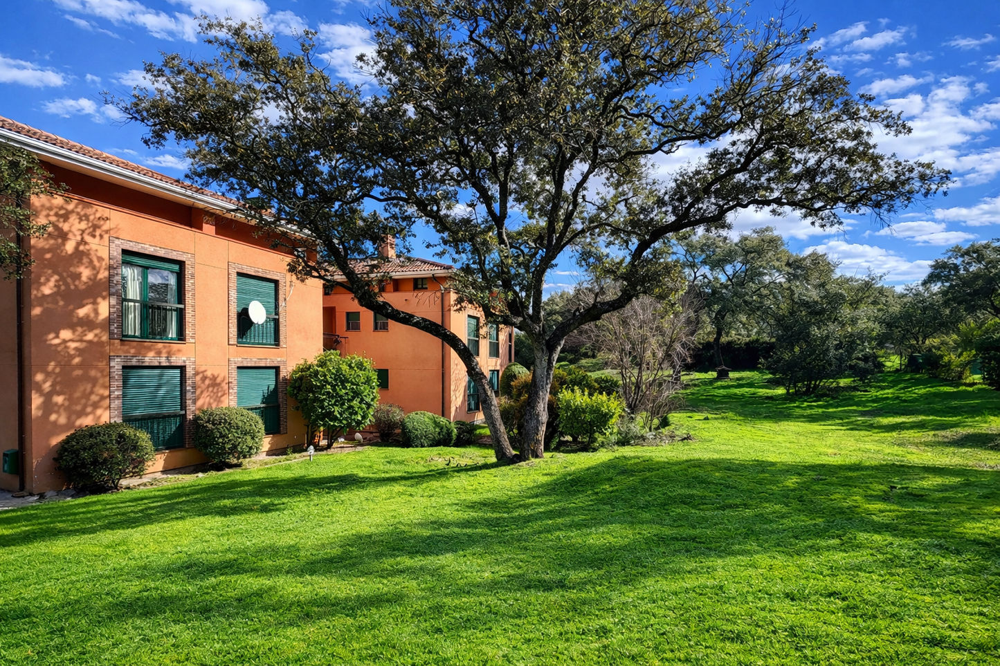 Casa o chalet independiente en venta en Ciudalcampo(Ref.CDC1969)