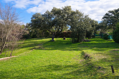 Casa o chalet independiente en venta en Ciudalcampo(Ref.CDC1969)