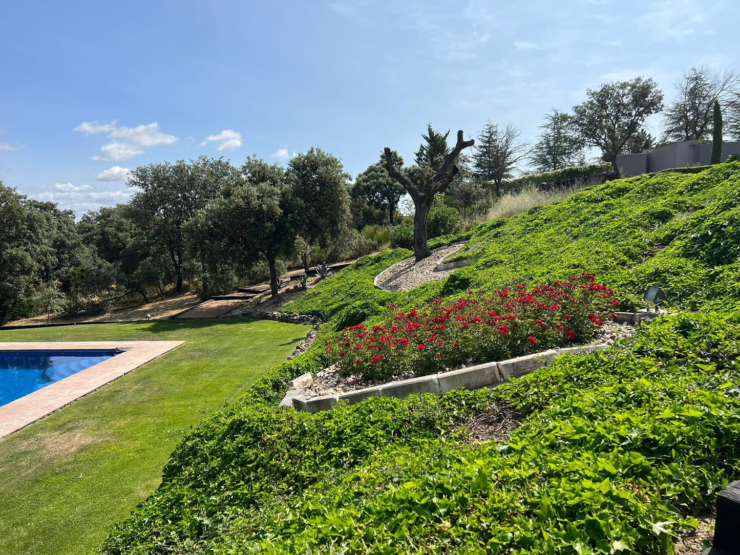 houseandhouse chalet venta ciudalcampo cdc1835-50